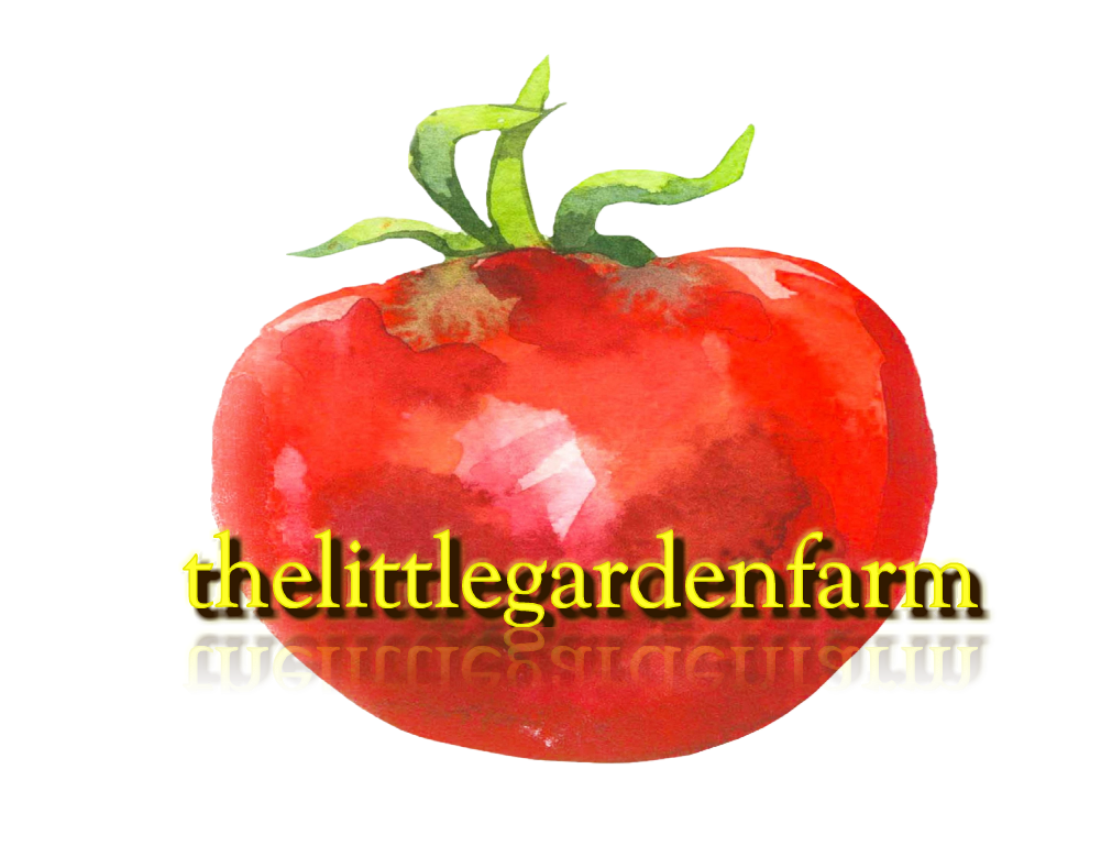 thelittlegardenfarm logo extra large trans background