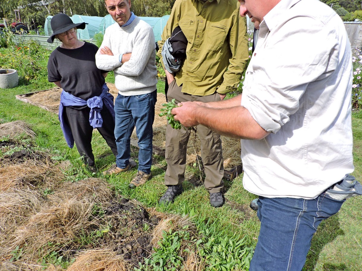 Garden Walks & Workshops