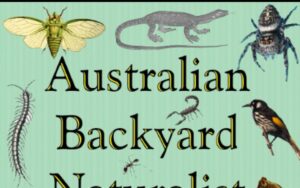 Book cover of Australian Backyard Naturalist by Peter Macinnis