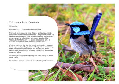 Common Birds Of Australia by Rachel Jardine How to Identify Common Birds in Australian Cities and Countryside
