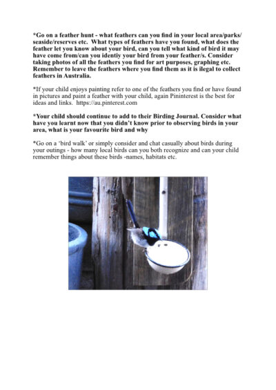 Spring Time Nature Study