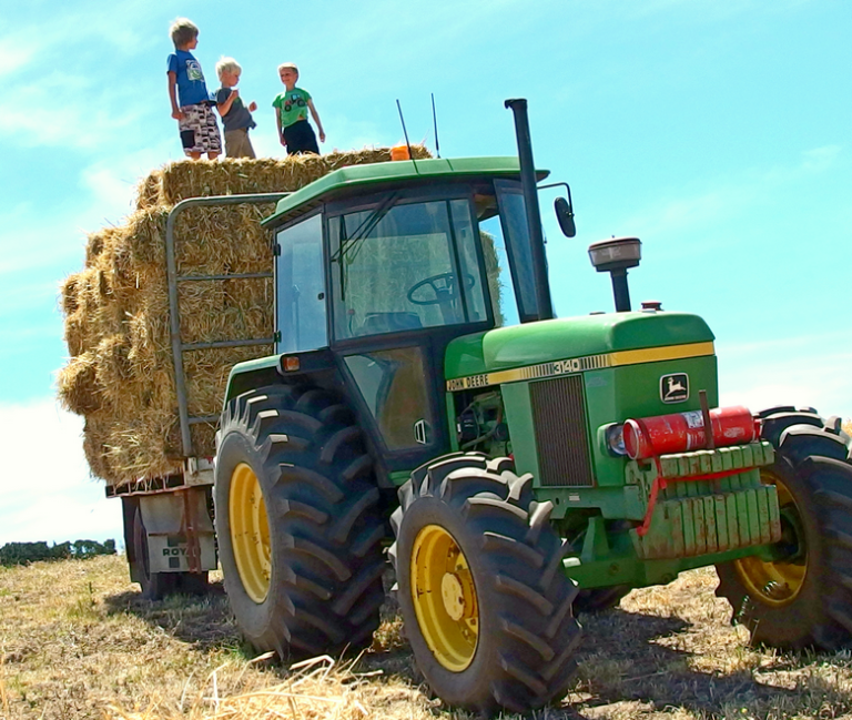 Hay Carting The Little Garden Farm