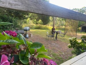 Private Outdoor space at Holly Tree Hut Bruny Island Accommodation Tasmania