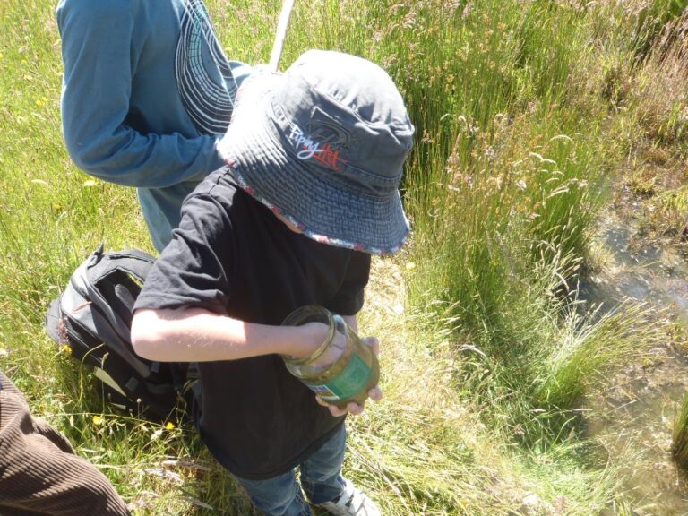 Homeschooling in Australia