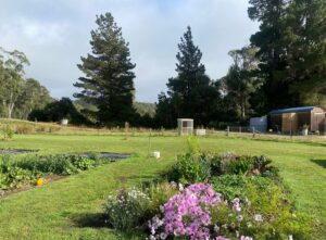 Farm Produce For Sale Bruny Island