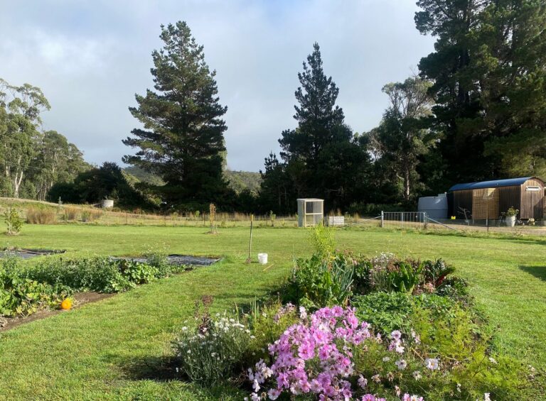 Farm Produce For Sale Bruny Island