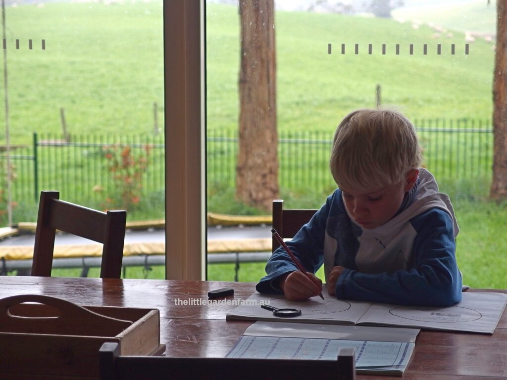 Homeschooling