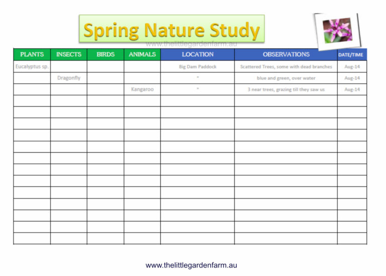 Free Homeschool Download Spring Nature Study Sheet