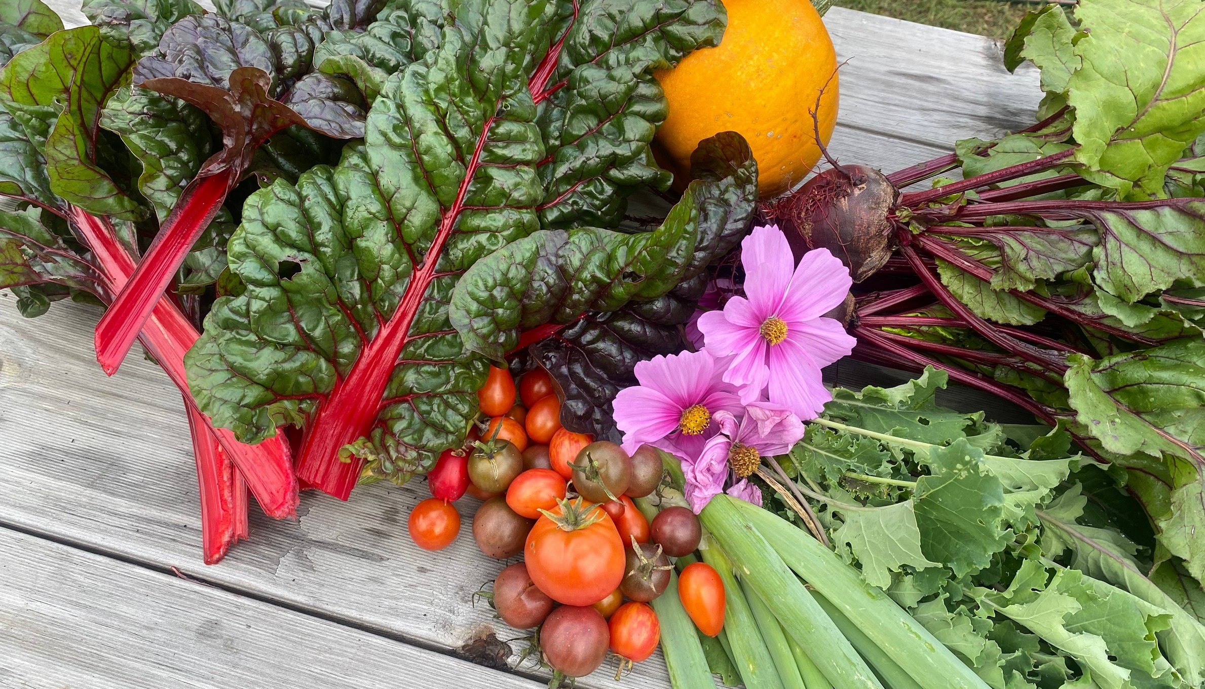 Farm Produce May 2025 thelittlegardenfarm Bruny Island