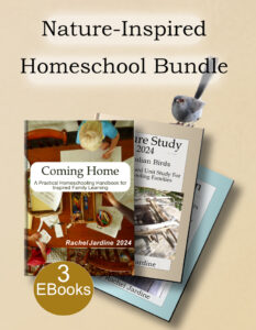 setting up a homeschool routine