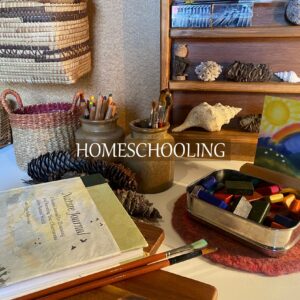 Homeschooling resources in Tasmania