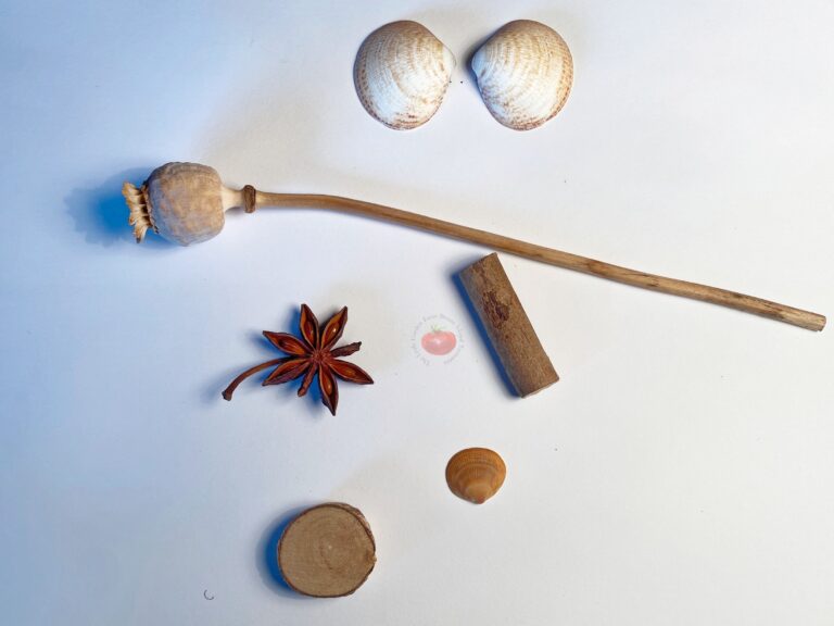 DIY nature crafts for homeschoolers in Tasmania