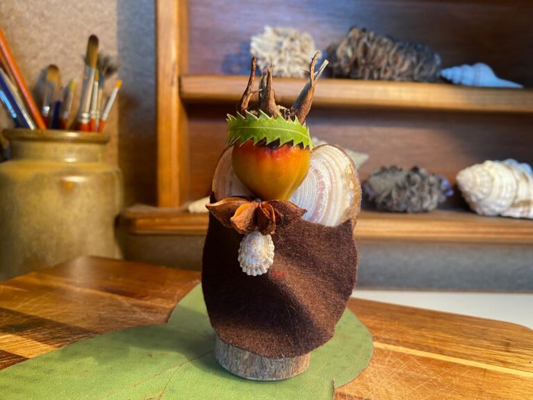 Eco-friendly Tasmanian homeschool activities