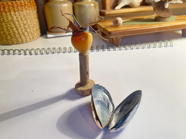 find / use seashells for the wings, or you can use dry leaves.