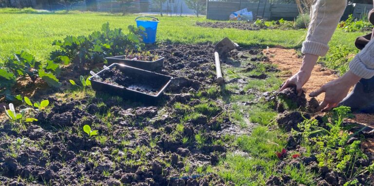 Winter planting ready for the farmgate stall on Bruny Island