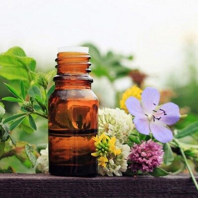 Flower Essence Therapist Bruny Island