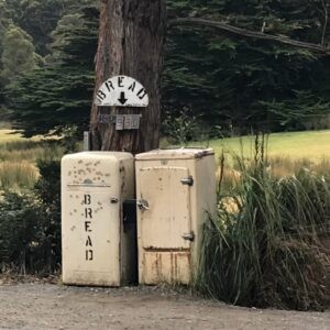 The Bruny Island Bread Fridge - a short drive from the little garden farm