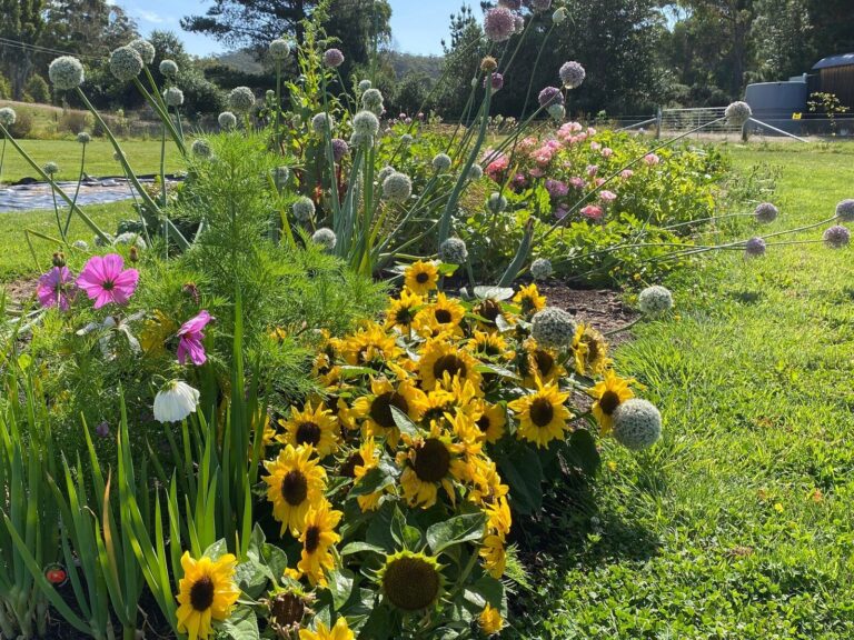 Eco Stay Accommodation Bruny island