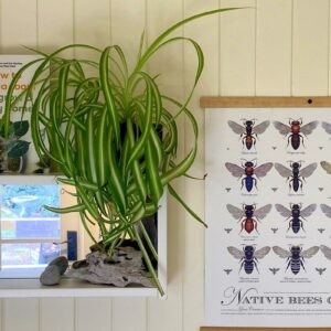 Nature Holiday on Bruny Island Book here.