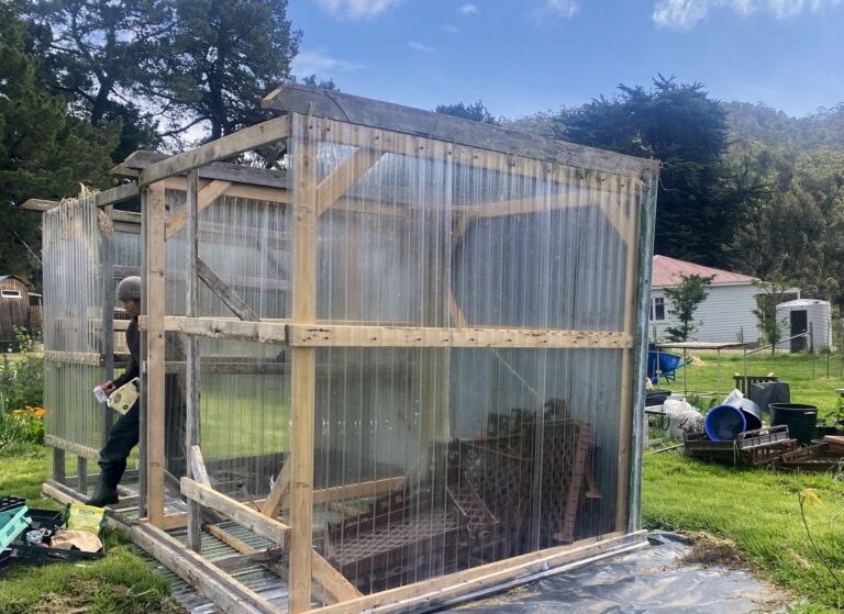 What Is Wrong With This Picture?