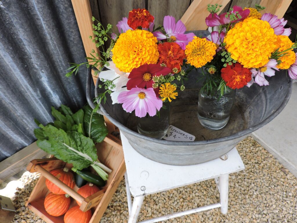 Garden tours Bruny island