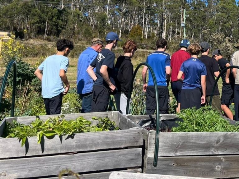 St Michaels Visits The Little Garden Farm Bruny Island