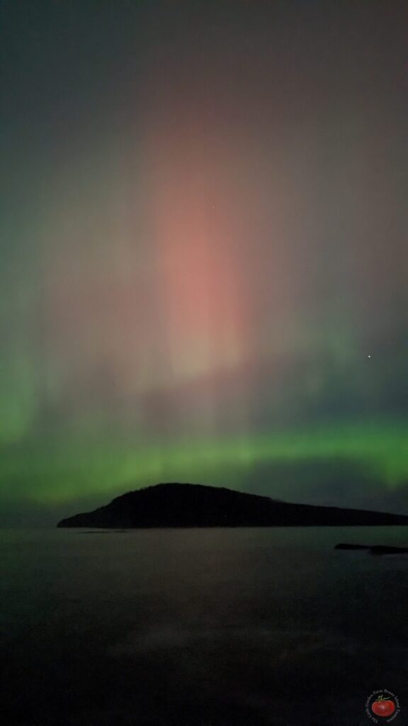 Southern lights red aurora over Bruny Island coastline