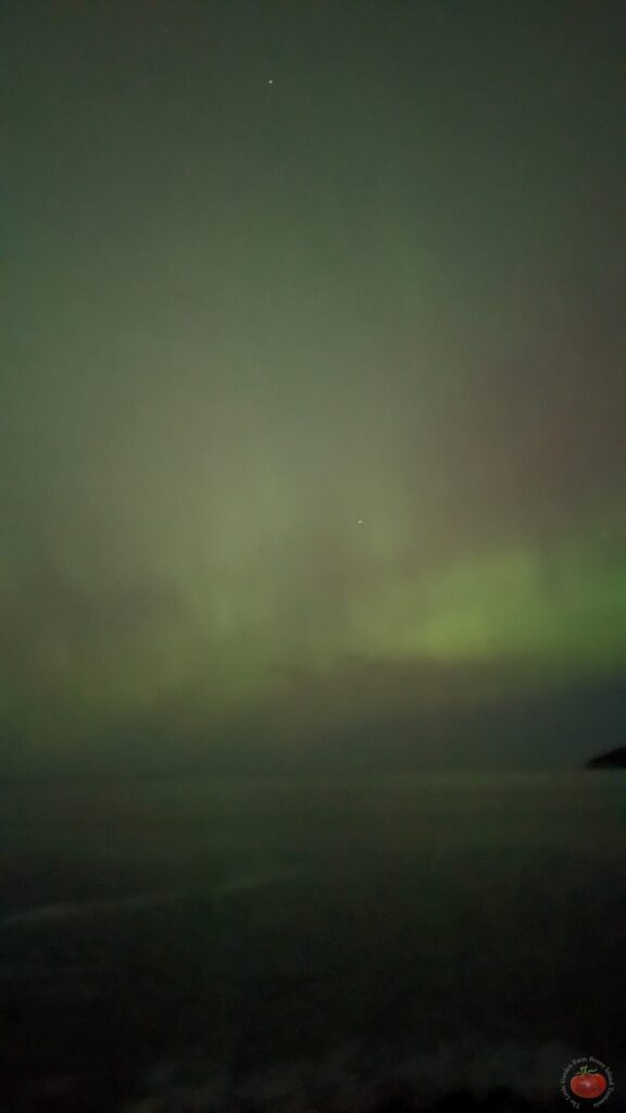 Night sky aurora Australis with coastal foreground Tasmania