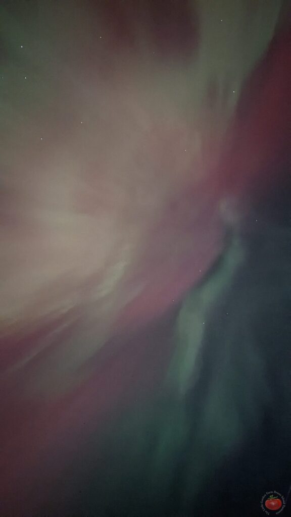 Aurora Australis red glow over Tasmania night sky