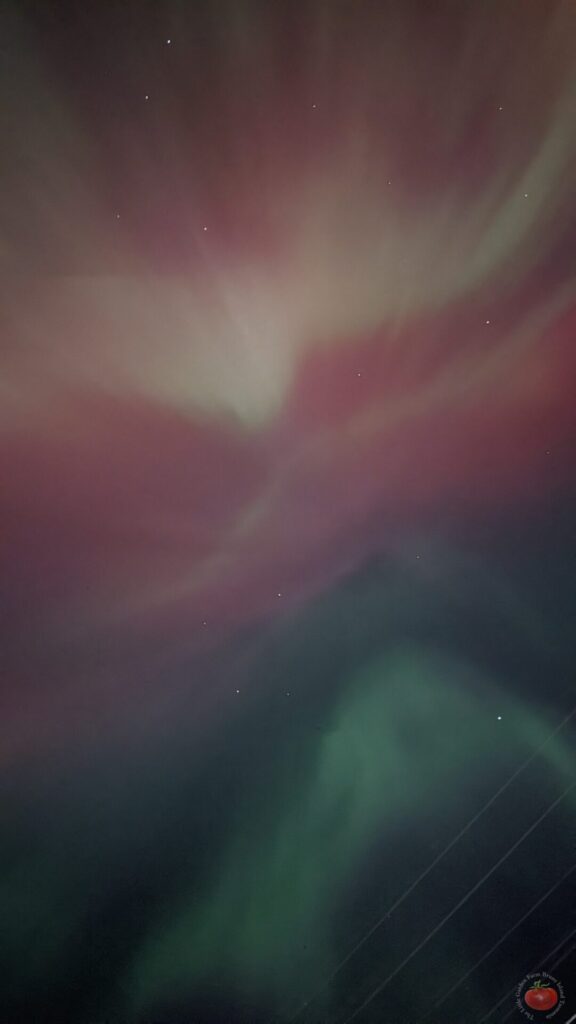 Aurora Australis illuminating southern sky in Australia