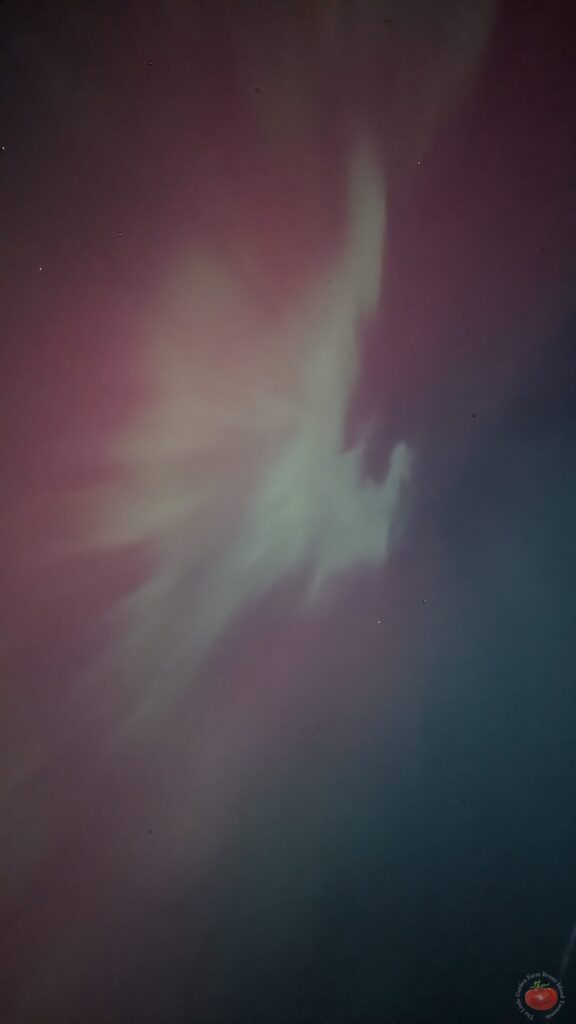 Southern lights visible from Bruny Island dark sky