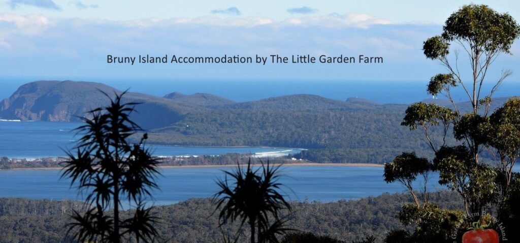 Find your perfect stay on Bruny Island